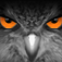 EagleEyes-plus